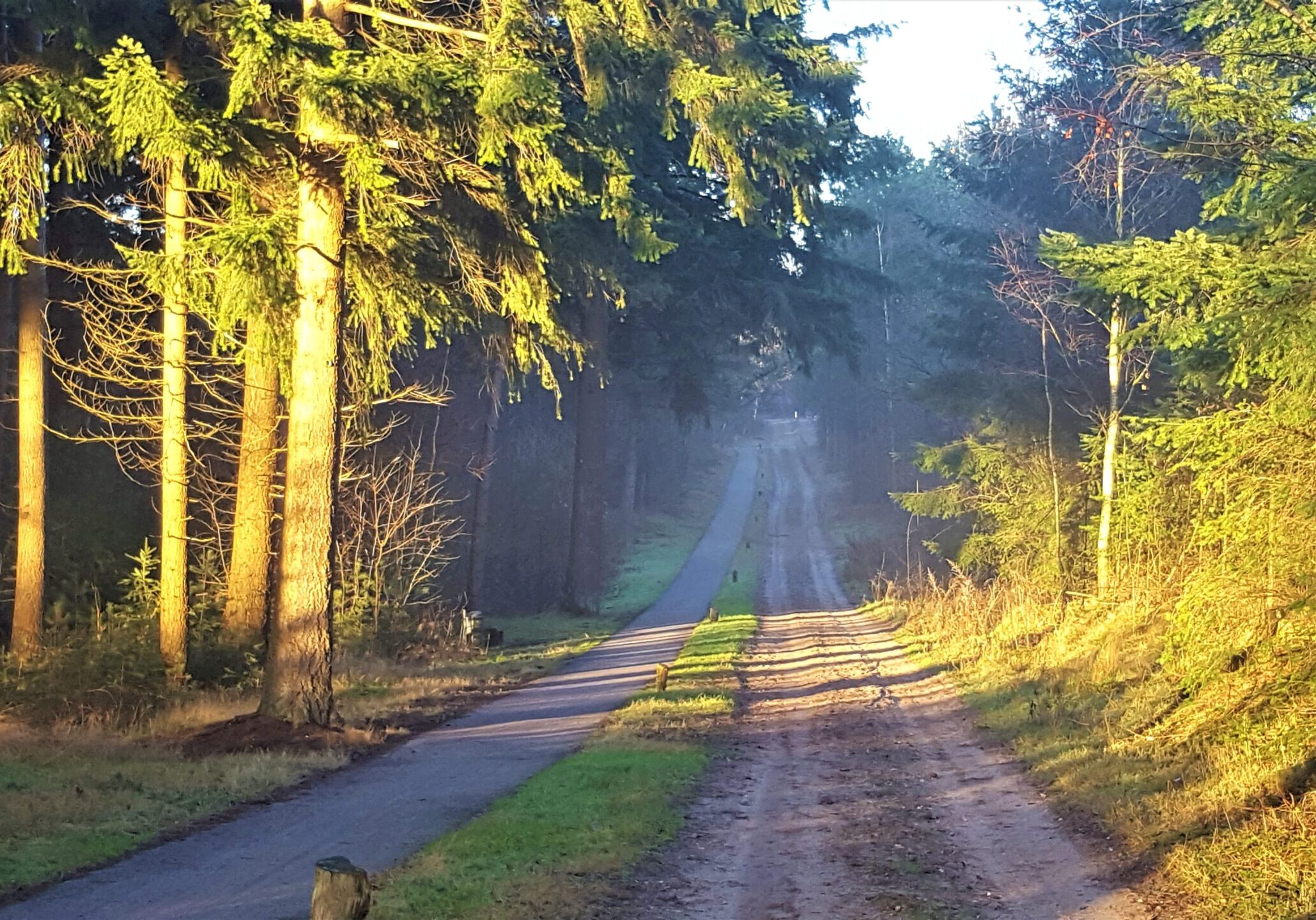 bosrijk salland en twente